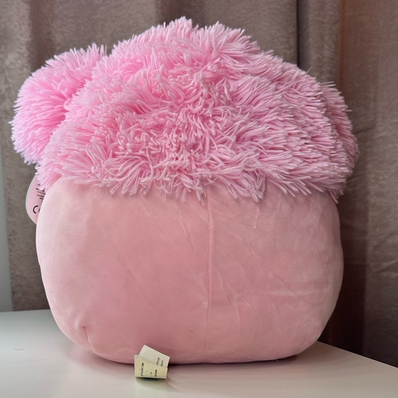 Squishmallows Bigfoot Brina bundle - Picture 3 of 9